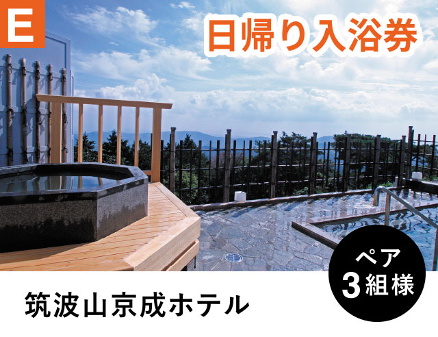 E 日帰り入浴券