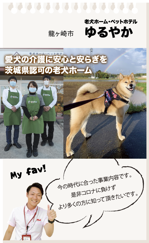 龍ヶ崎市 老犬ホーム・ペットホテル ゆるやか