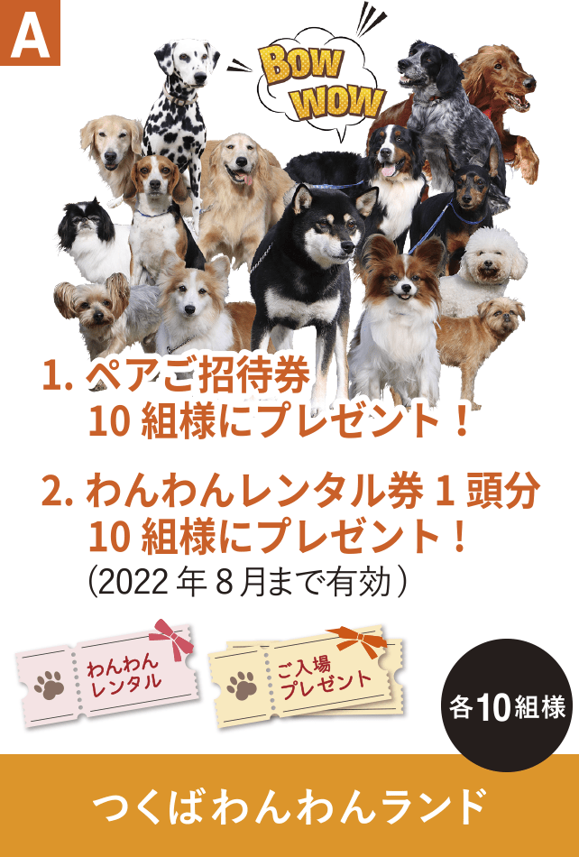 A つくばわんわんランド